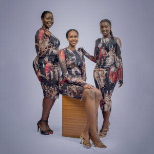 sheer fabric nude paintings