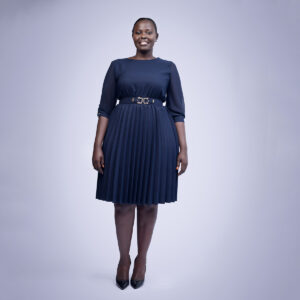 pleated dress chiffon sleeves