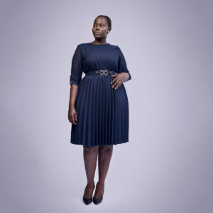 pleated dress chiffon sleeves