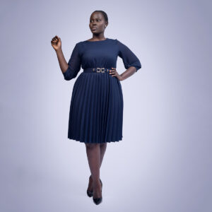 pleated dress chiffon sleeves