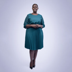 pleated dress chiffon sleeves